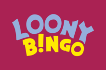 Loony Bingo Logo